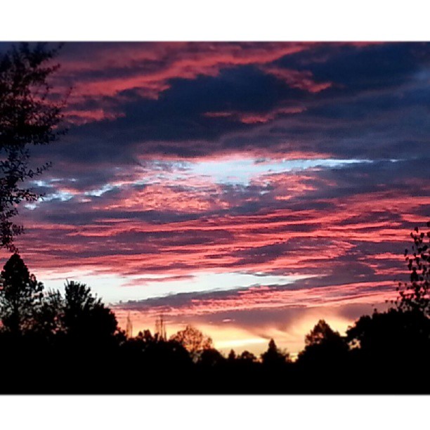 12105893_10153682650947430_8982390427548137261_n